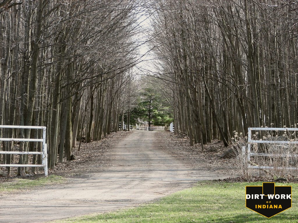 Tree-lined gravel driveway in rural Indiana